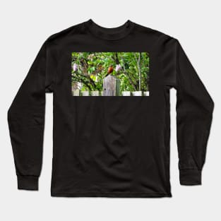 American Robin Standing On Top of a Post Long Sleeve T-Shirt